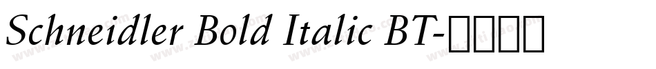 Schneidler Bold Italic BT字体转换